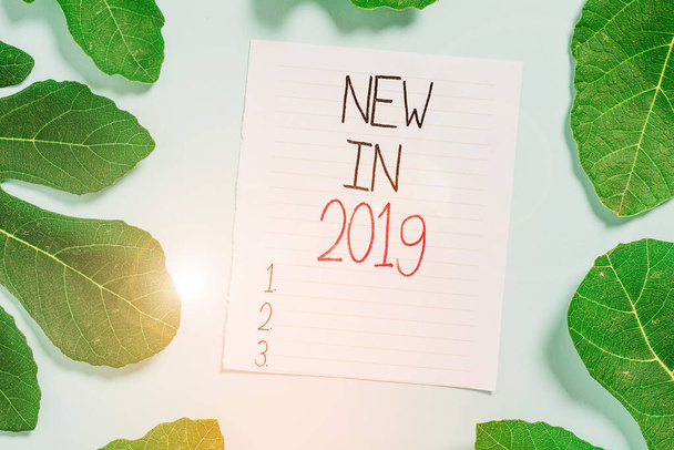 Conceptual hand writing showing New In 2019. Business photo text what will be expecting or new creation for the year 2019 Leaves surrounding notepaper above empty soft pastel table. - 写真・画像