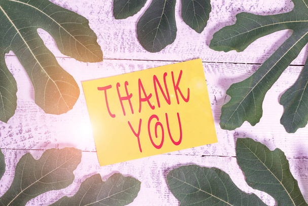 Conceptual hand writing showing Thank You. Business photo text a polite expression used when acknowledging a gift or service Leaves surrounding notepaper above a classic wooden table. - 写真・画像