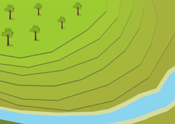 isometric green Rice Terraces Aerial - ベクター画像