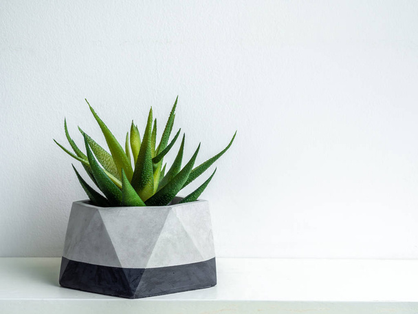 Modern geometric concrete planter. Beautiful concrete pot. - Foto, imagen