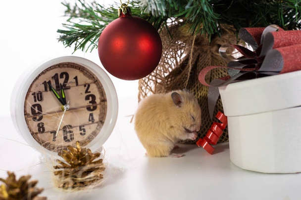 Symbol nowego roku 2020. szczur w pobliżu drzewa noworocznego, zegarki i prezenty. - Zdjęcie, obraz
