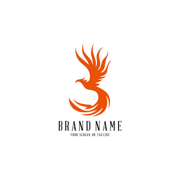 logo tasarımı Phoenix vektör şablonu beyaz arkaplan - Vektör, Görsel