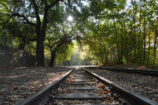 Demiryolu parça ormanın içinde. Ormanın giden yol - Fotoğraf, Görsel
