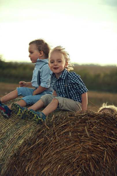 Two cute brothers leaning on the sheaf - Photo, image
