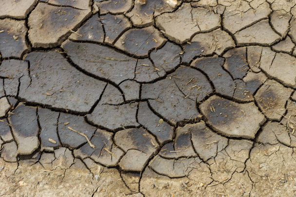 Kuru çatlak gri yeryüzü arkaplanı - Fotoğraf, Görsel