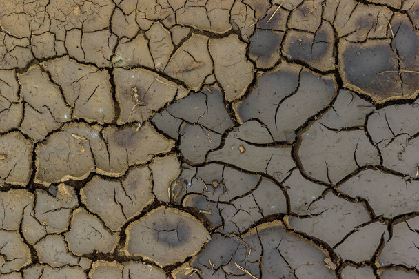 Fondo de tierra gris agrietado seco
 - Foto, Imagen