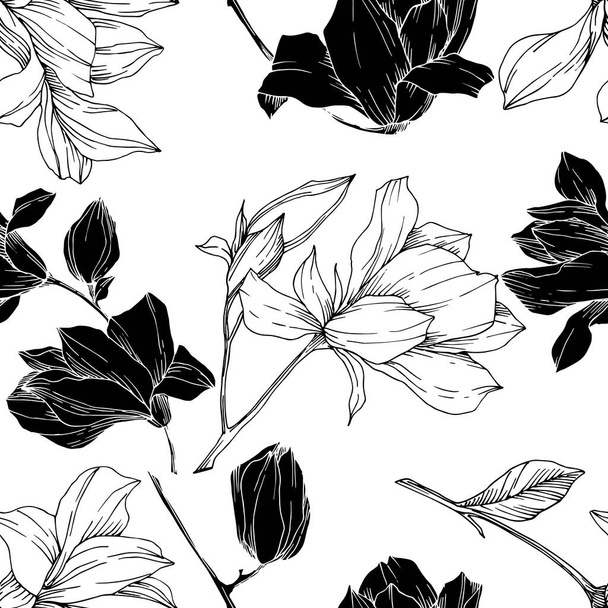 Vector Magnolia floral botanical flowers. Black and white engraved ink art. Seamless background pattern. - Vektör, Görsel