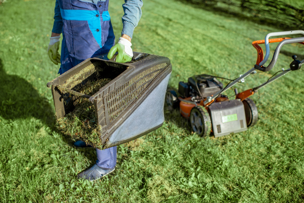 Tuinman werkt met grasmaaier in de achtertuin - Foto, afbeelding