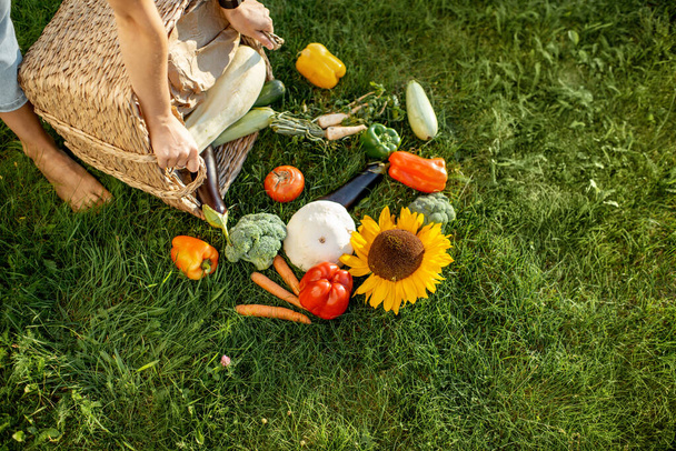 świeże warzywa na trawie - Zdjęcie, obraz