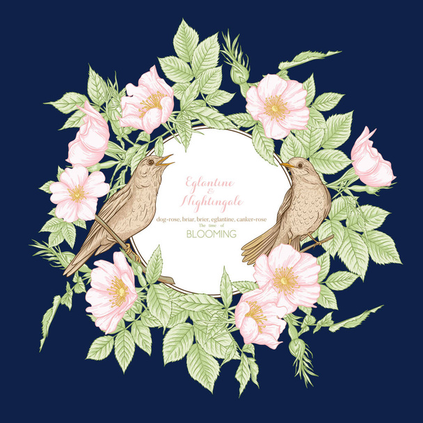 Rosa de perro, brezo, brezo, eglantina, canker-rose
  - Vector, Imagen