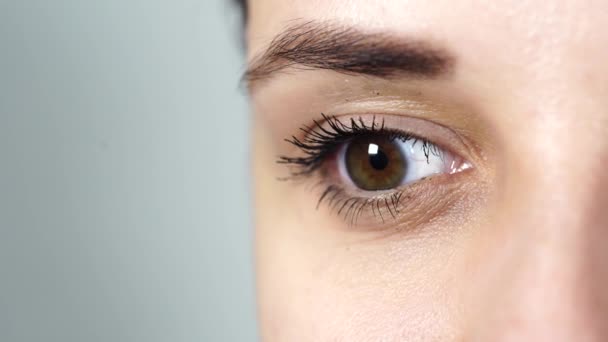 Makro obraz lidského oka s kontaktní čočkou. Ženský oči zblízka. Lidské oko s dlouhými řasami a řasenkou. Kosmetika a make-up. - Záběry, video