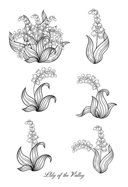 Lily of the valley, - Vector, Imagen