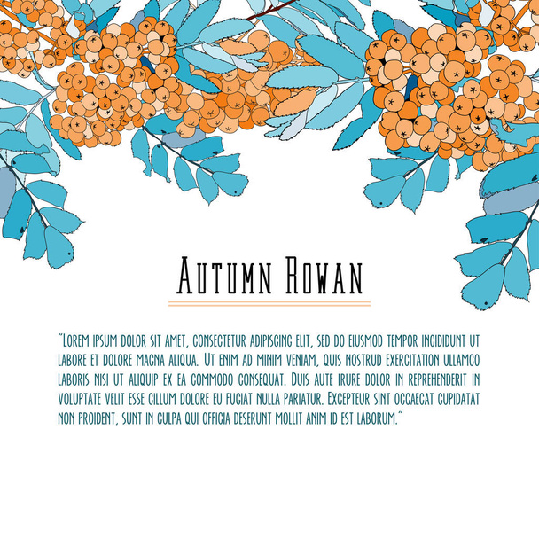 Rowan-berry background for text, blue and orange - Vector, Image