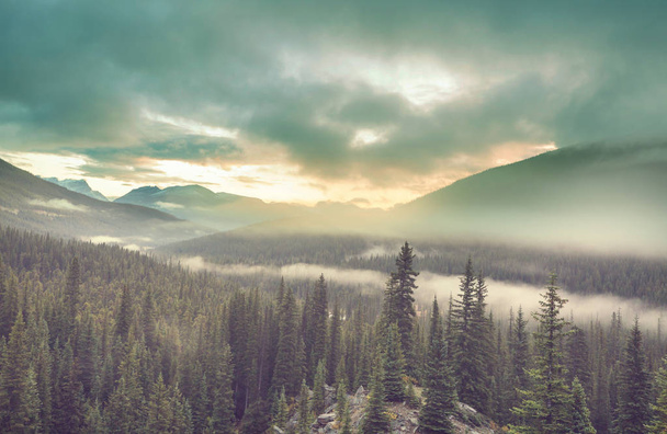 Hermosa escena matutina en las montañas. Niebla al amanecer. - Foto, imagen