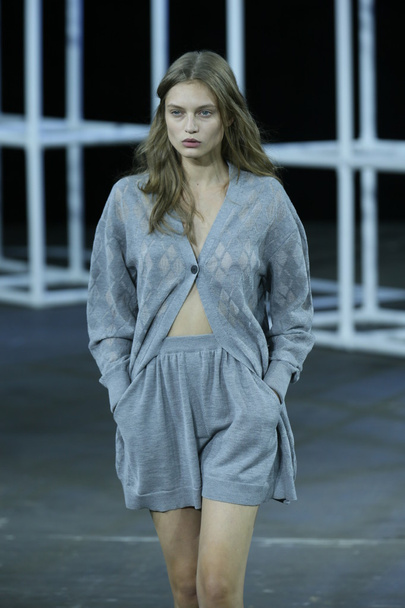 Model walks the runway at Alexander Wang show - Photo, Image