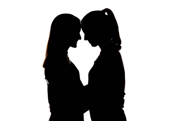 Two girls, sisters or friends, showing affection and affection, smiling, looking into each other's eyes, making shapes and silhouettes of hearts; celebrating Valentine's day; brothers 'day, lovers' day; friendship, fraternal relationship;  - 写真・画像
