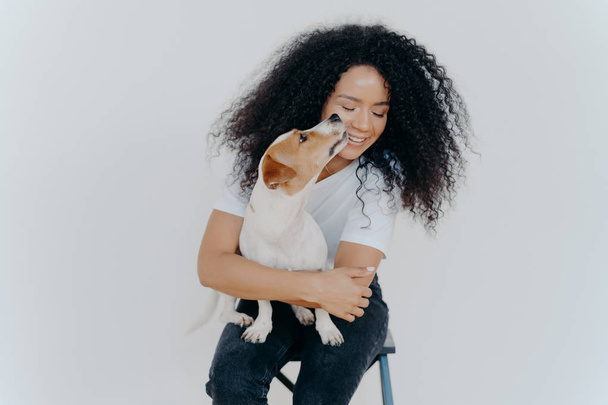Linda mujer feliz con el pelo rizado se besa de jack russell terrier siente amor a mascota favorita se complace en compañía de perro se sienta en la silla sobre fondo blanco. Amor entre el dueño y el animal
. - Foto, imagen