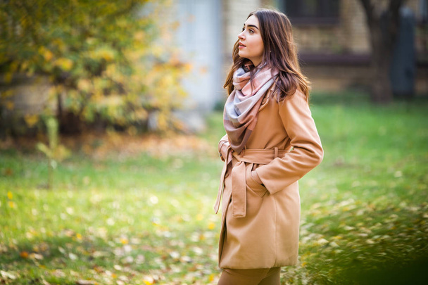 stylish woman in autumn park - Photo, Image