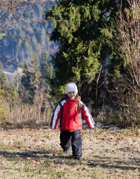 Little girl walking in autumn forest - 写真・画像