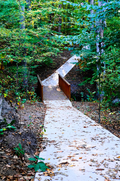Path Into Woods - Photo, Image
