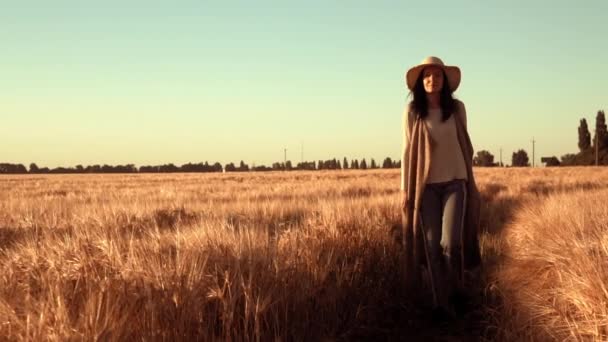 Hasat zamanı sarı buğday manzaralı arazi sahibi gün batımında yürür - Video, Çekim