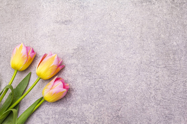 Tavaszi koncepció. Gyengéd tulipán kő háttéren. Kártya, tapéta, másolás, felülnézet. - Fotó, kép