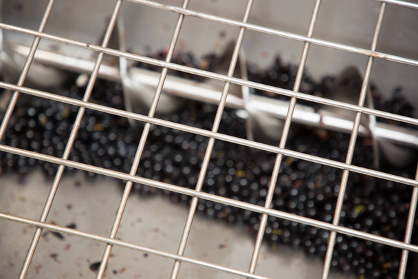 uvas vermelhas em suco de imprensa de vinho pressionado deixando peles de frutas colheita
 - Foto, Imagem