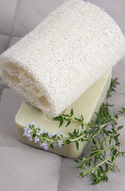 lufah naturalne gąbki wlth tymianek soap - Zdjęcie, obraz