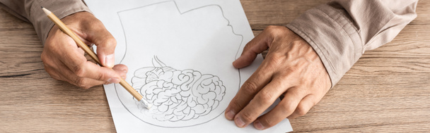 panoramisch schot van gepensioneerde man met alzheimer die menselijk hoofd en hersenen tekent  - Foto, afbeelding