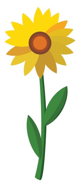 Sunflower, illustration, vector on white background. - Вектор,изображение