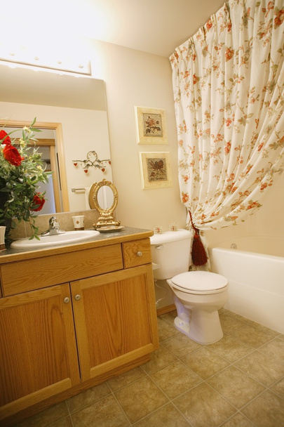 Bagno in una casa con doccia, WC e lavandino
 - Foto, immagini