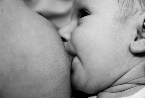 Giovane madre che allatta il suo bambino
 - Foto, immagini