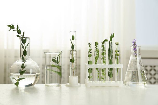 Tubos de ensaio e outros artigos de vidro de laboratório com diferentes plantas à mesa dentro de casa
 - Foto, Imagem