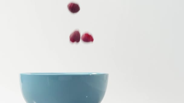 Aliments frais et sains. Framboises tombant dans un bol bleu avec yaourt et crème fouettée. Fruits frais en crème fouettée. Baies biologiques, manger propre, concept de nourriture végétalienne. Vue latérale. Mouvement lent
. - Séquence, vidéo
