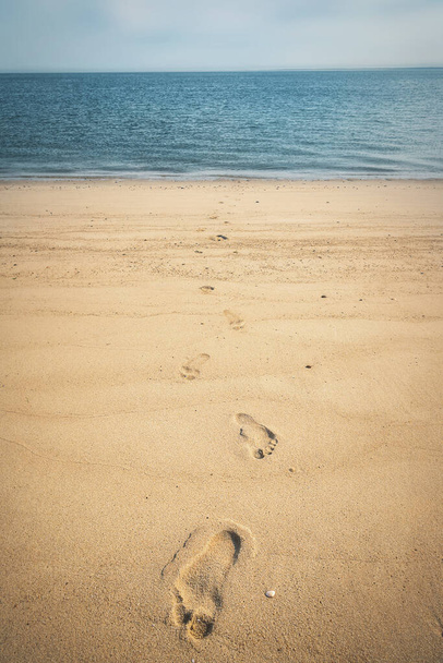 Jalanjälkiä kultaisella hiekalla Pohjanmeren rannalla Sylt saarella
 - Valokuva, kuva