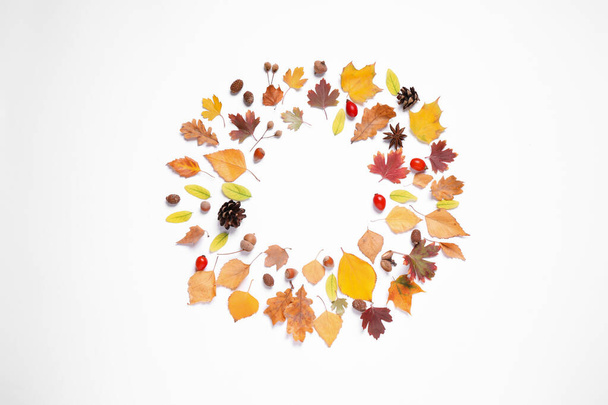 Frame made of autumn leaves on white background, top view. Space for text - Φωτογραφία, εικόνα