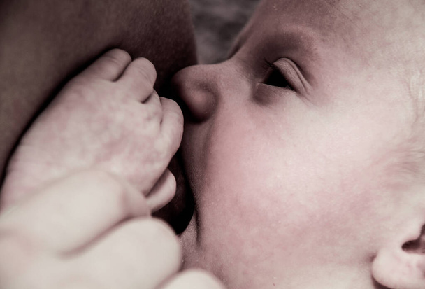 Jovem mãe amamentando seu bebê menino
 - Foto, Imagem