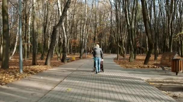 Ein junges Mädchen mit Kinderwagen spaziert durch den herbstlichen Park. zurück. - Filmmaterial, Video
