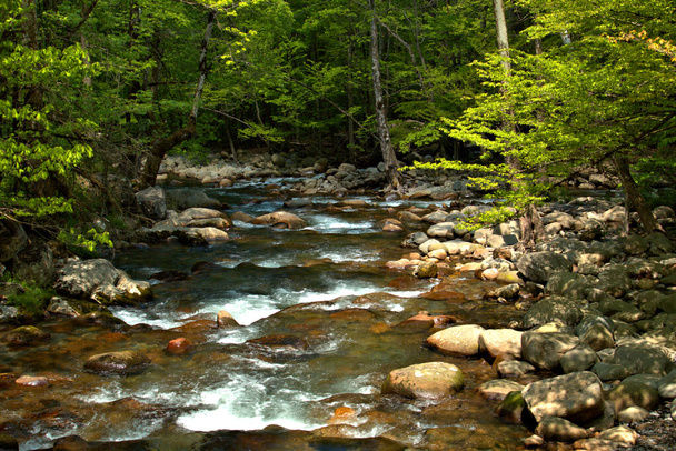 Гірський потік, що поспішає осінніми кольорами, що оточують скелі у воді
 - Фото, зображення