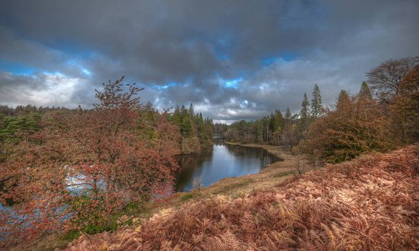 Stunning landscape image of Tarn Hows in Lake District - Photo, Image