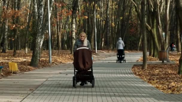 Een jong meisje met een wandelwagen wandelt in het najaarspark. - Video