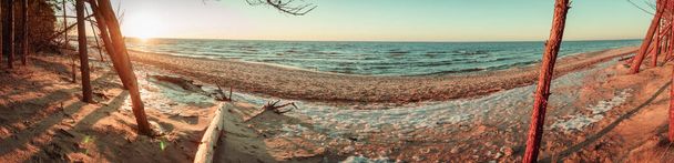 Panorama de la costa del mar Báltico y olas con árboles caídos de cerca después de la tormenta durante el atardecer en el cálido día de invierno con tonos vintage y cielo azul
 - Foto, Imagen