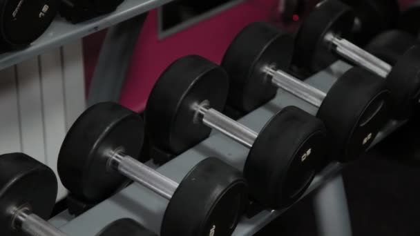 Set, a rack of dumbbells of different sizen for training, close-up. - Footage, Video