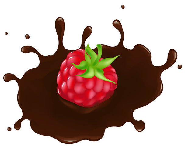 Raspberry In Chocolate Splash - Vektori, kuva