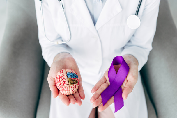 przycięty widok lekarza trzymającego model mózgu i fioletowej wstążki  - Zdjęcie, obraz
