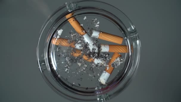 Blussen van een sigaret in de asbak - Video