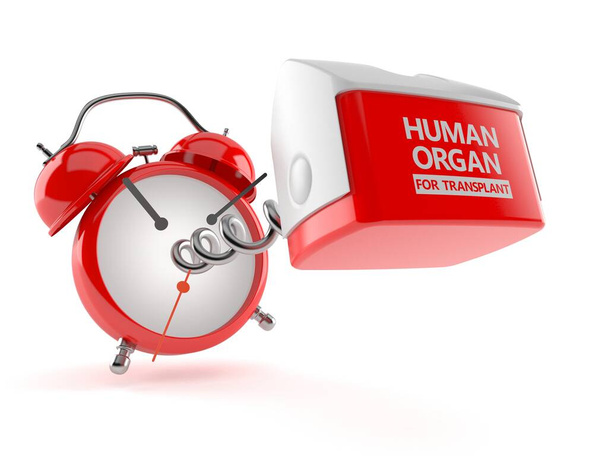 Organo umano per il concetto di trapianto
 - Foto, immagini