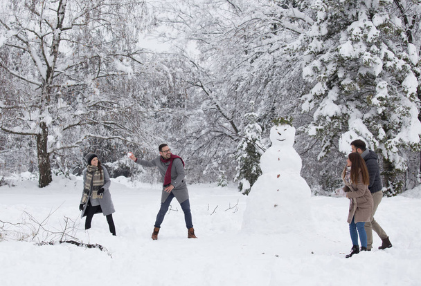bojovat s přátel s sněhová koule - Fotografie, Obrázek