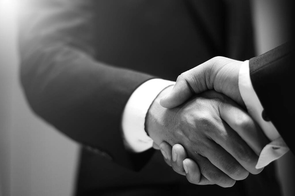 Businessmen shaking hands. Business - Zdjęcie, obraz