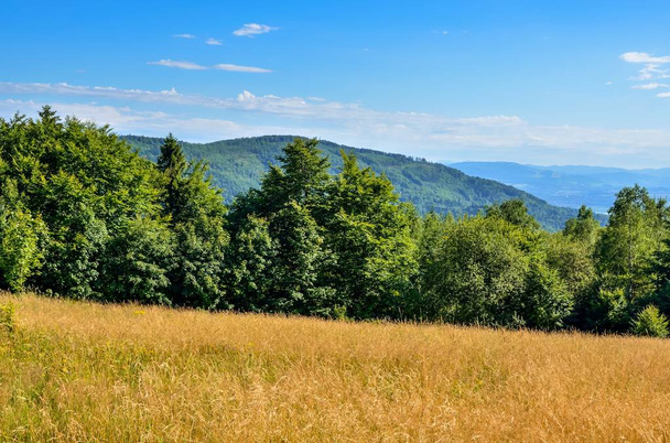 Summer mountain landscape. Beautiful green hills on a sunny day. - Fotó, kép